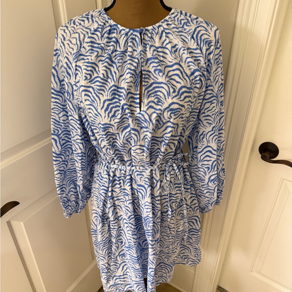 H&M Blue and White Patterned Dress